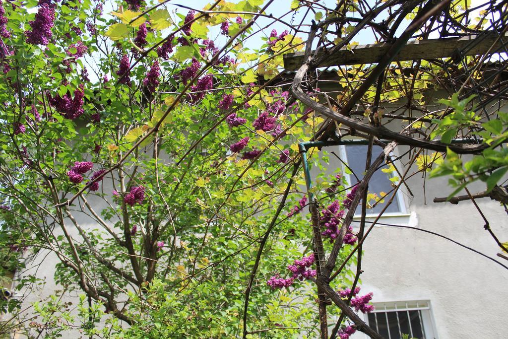Apartment On Zaliznychna 利沃夫 外观 照片